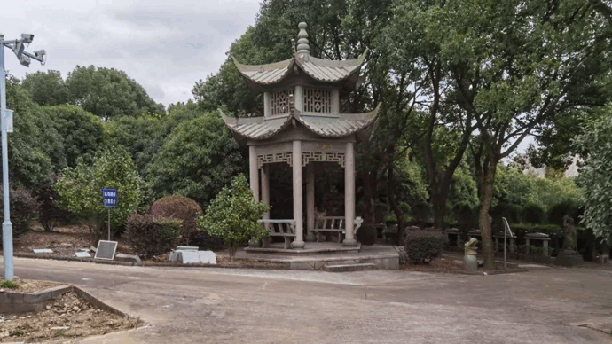 首页-人生就是博