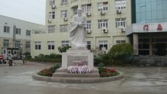 石雕匠心，，，，，，镌刻医者风华