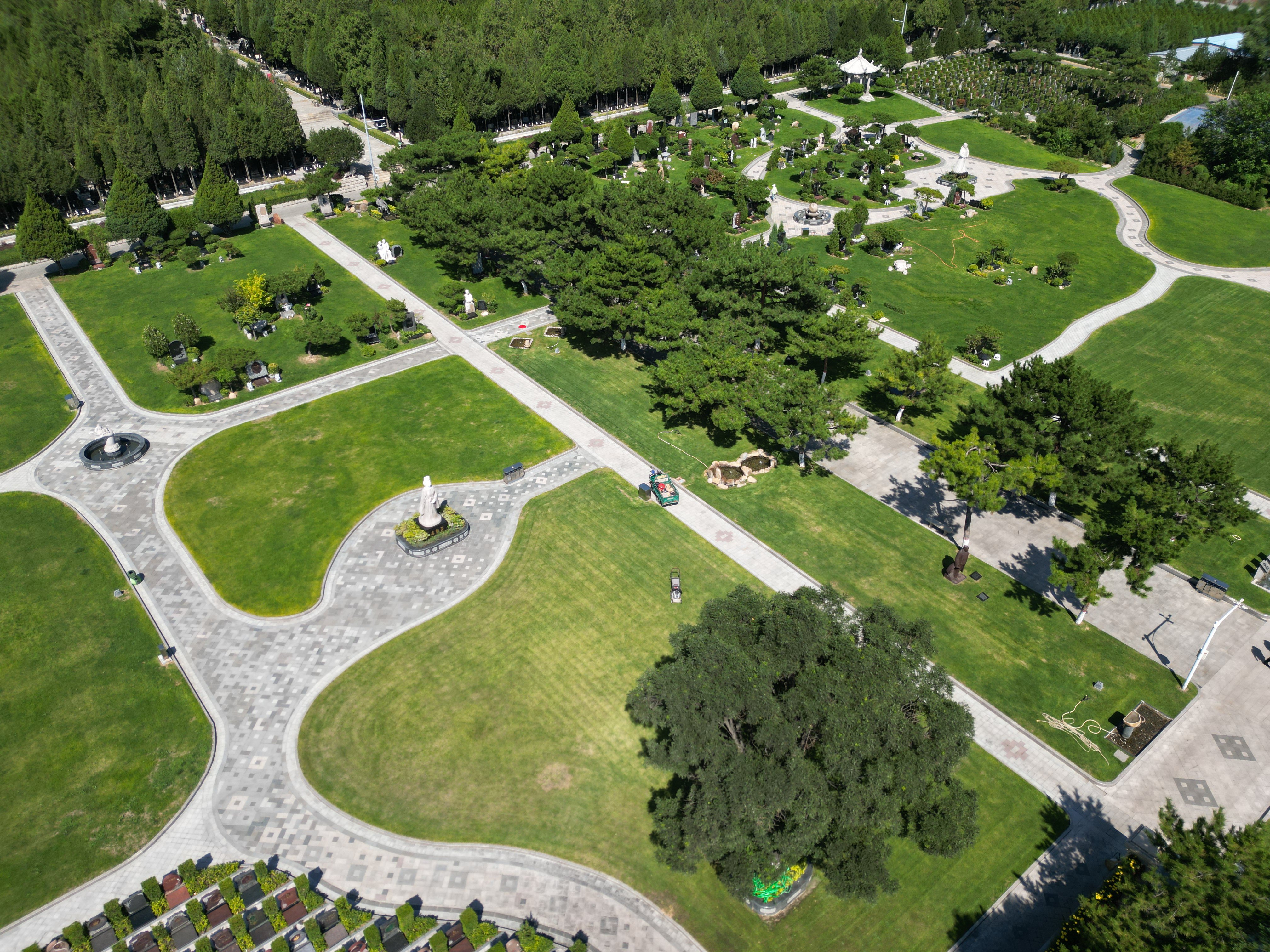 首页-人生就是博