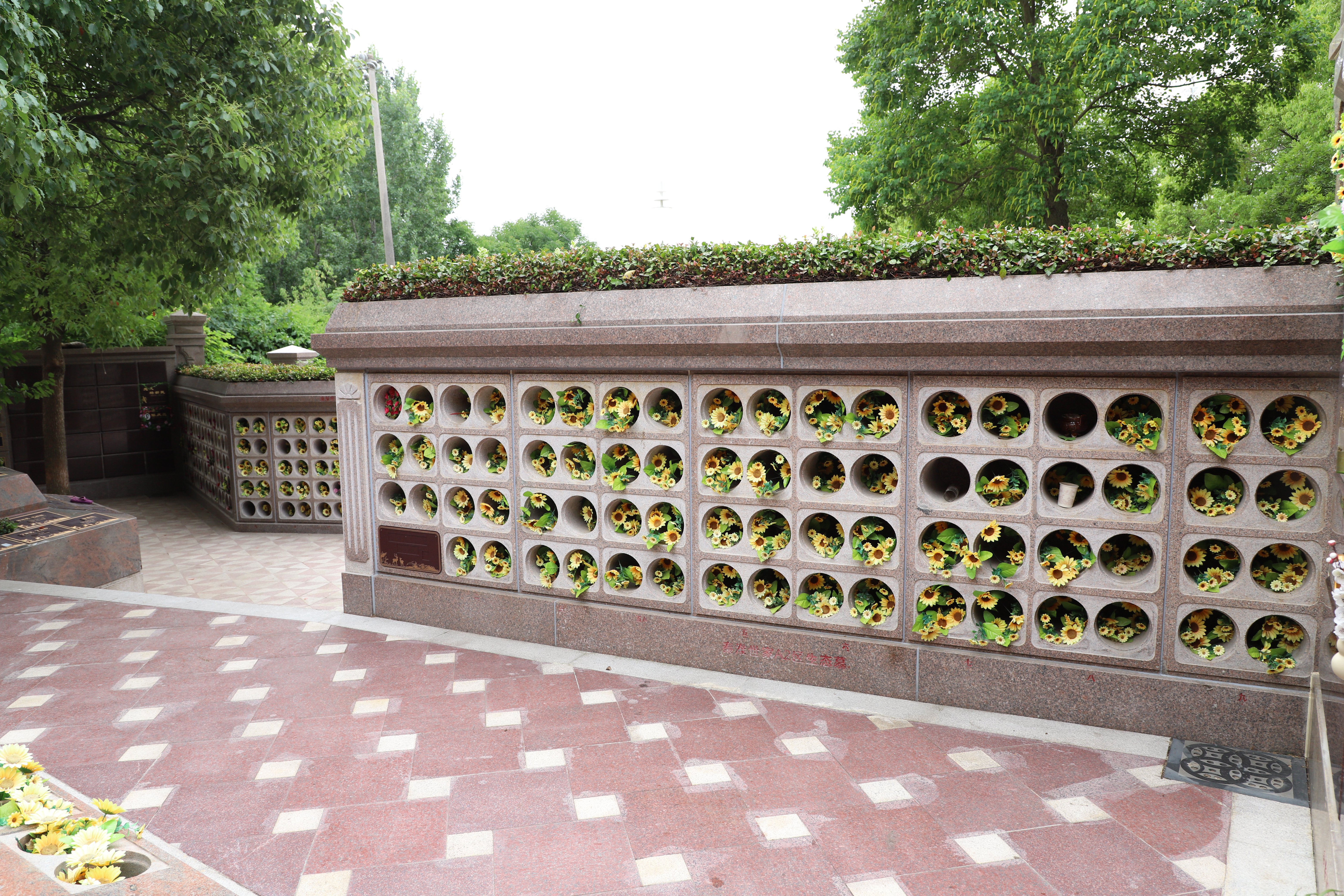 首页-人生就是博