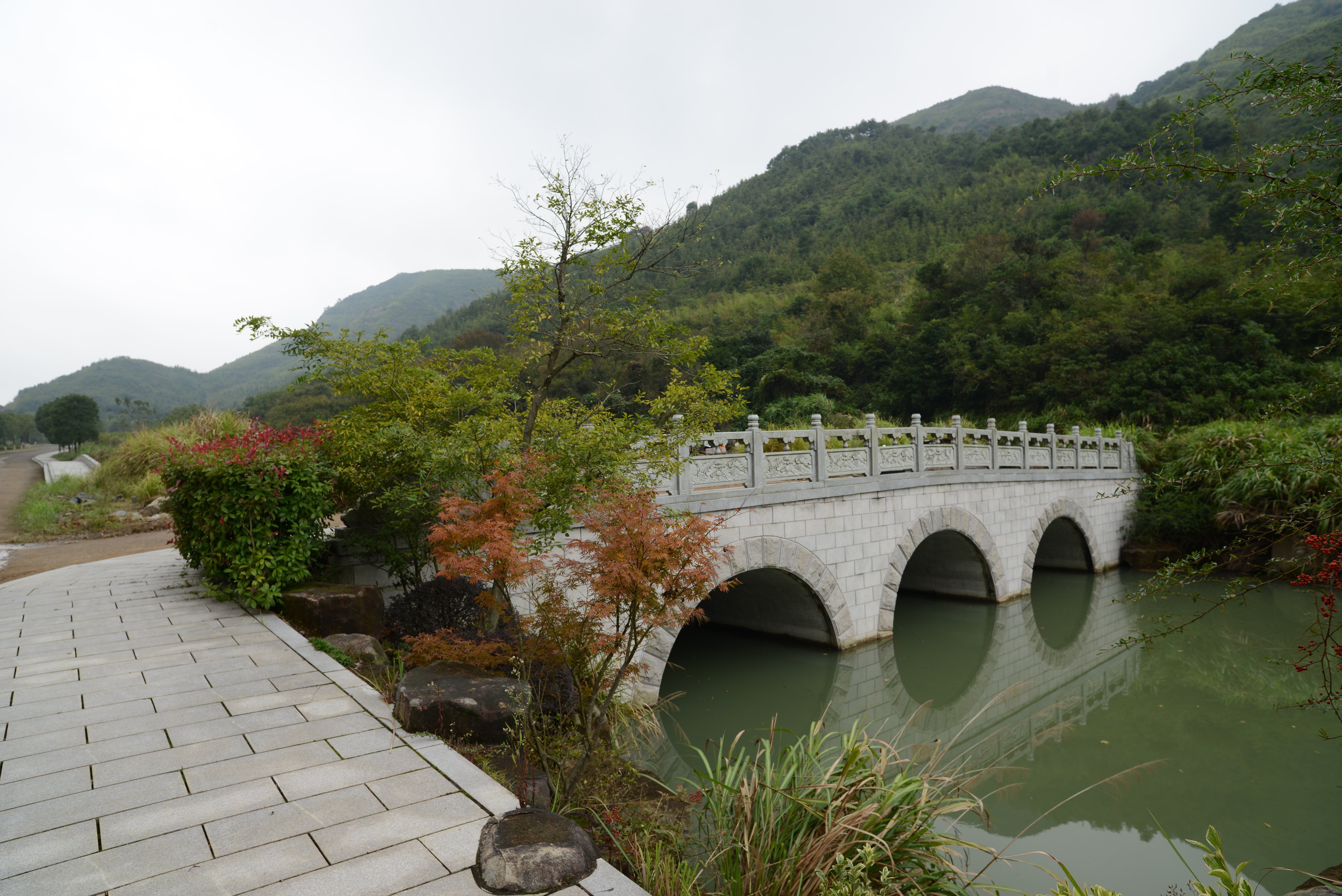 首页-人生就是博