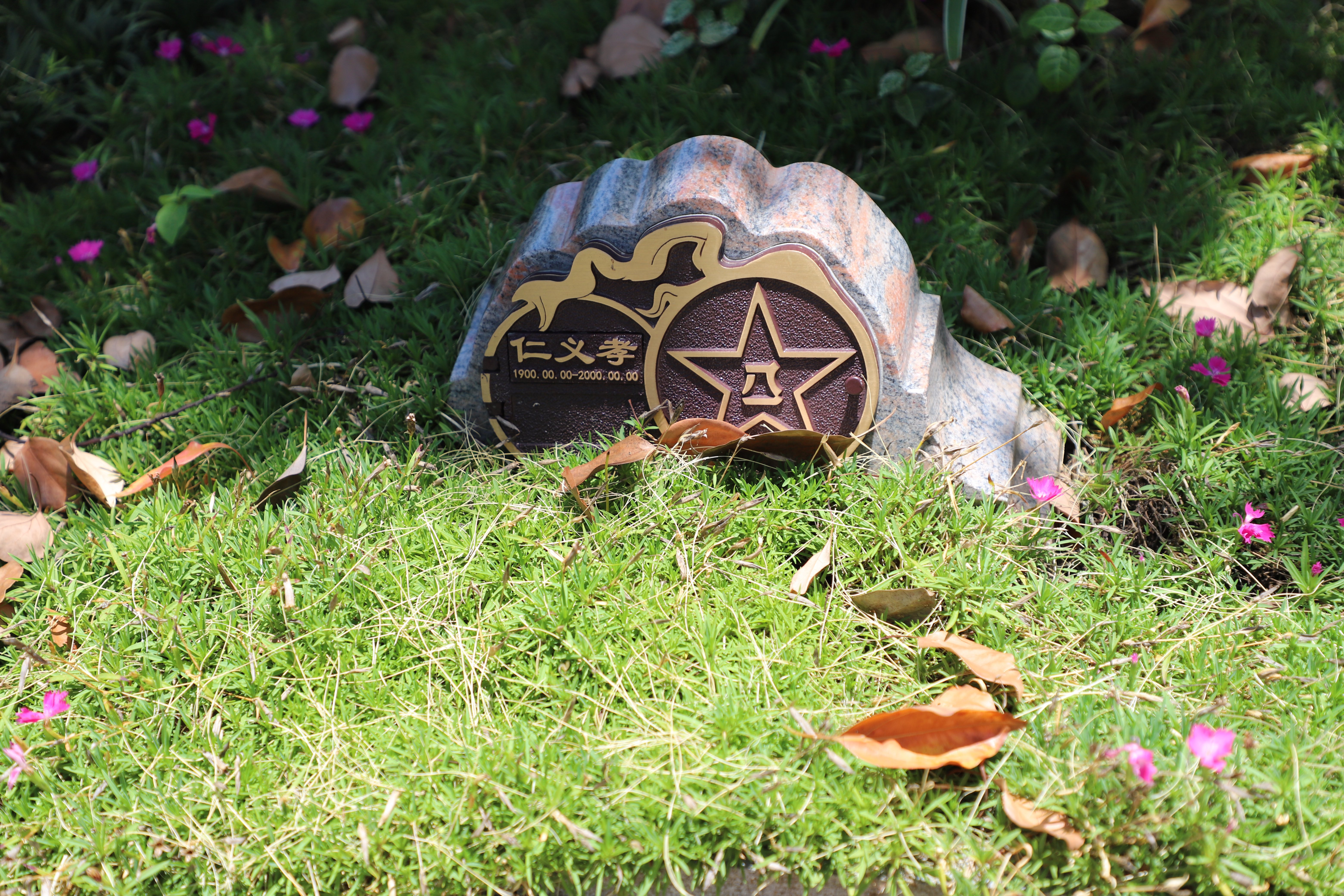 首页-人生就是博