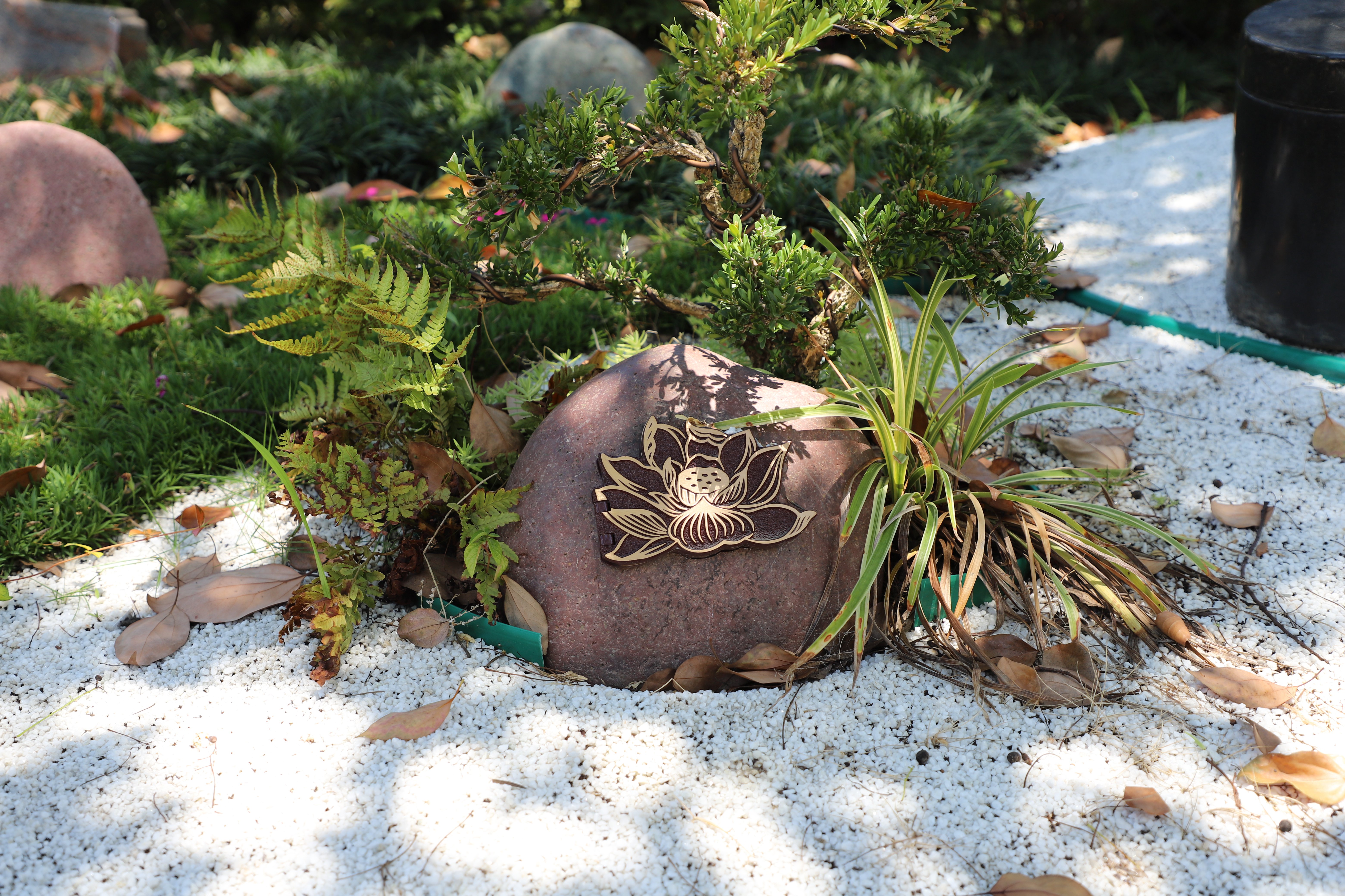 首页-人生就是博