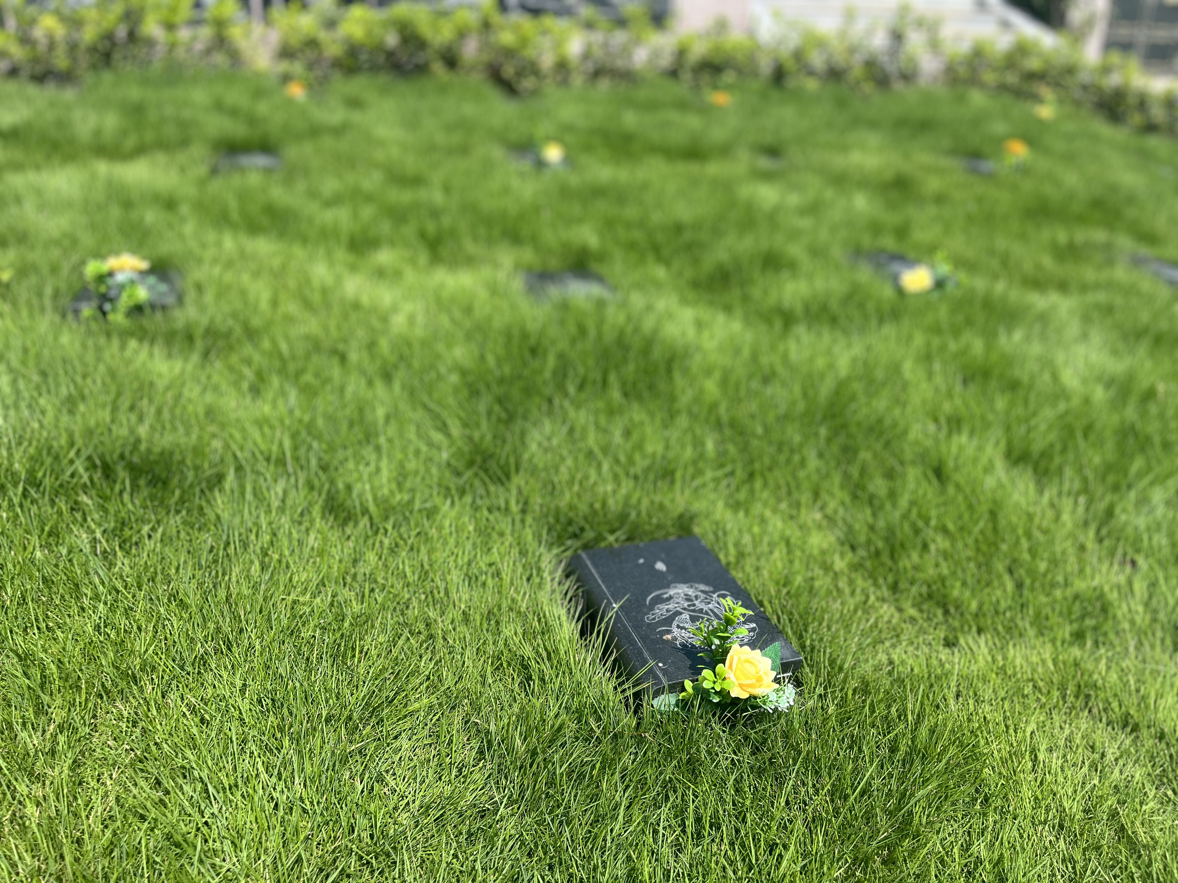 首页-人生就是博