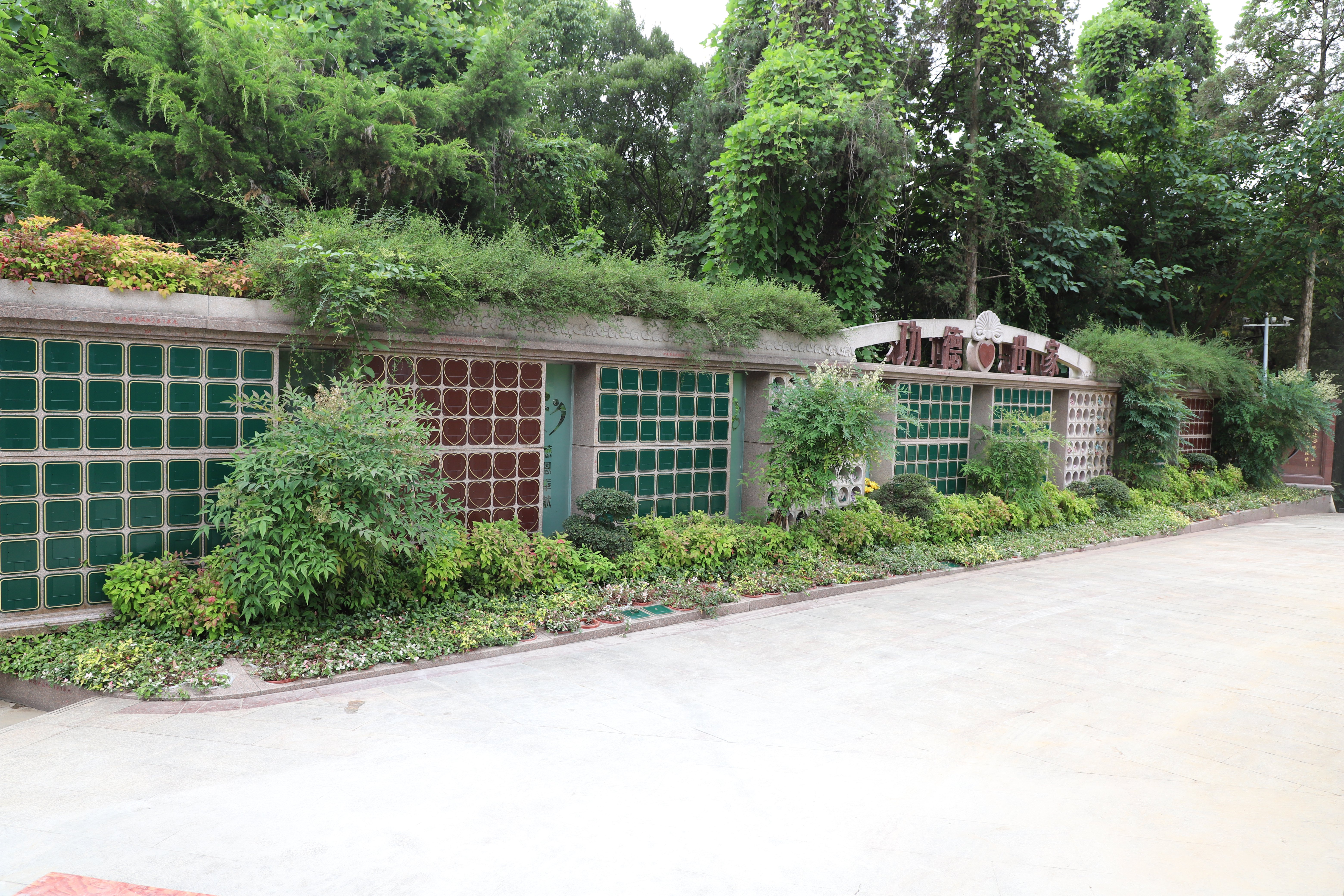 首页-人生就是博