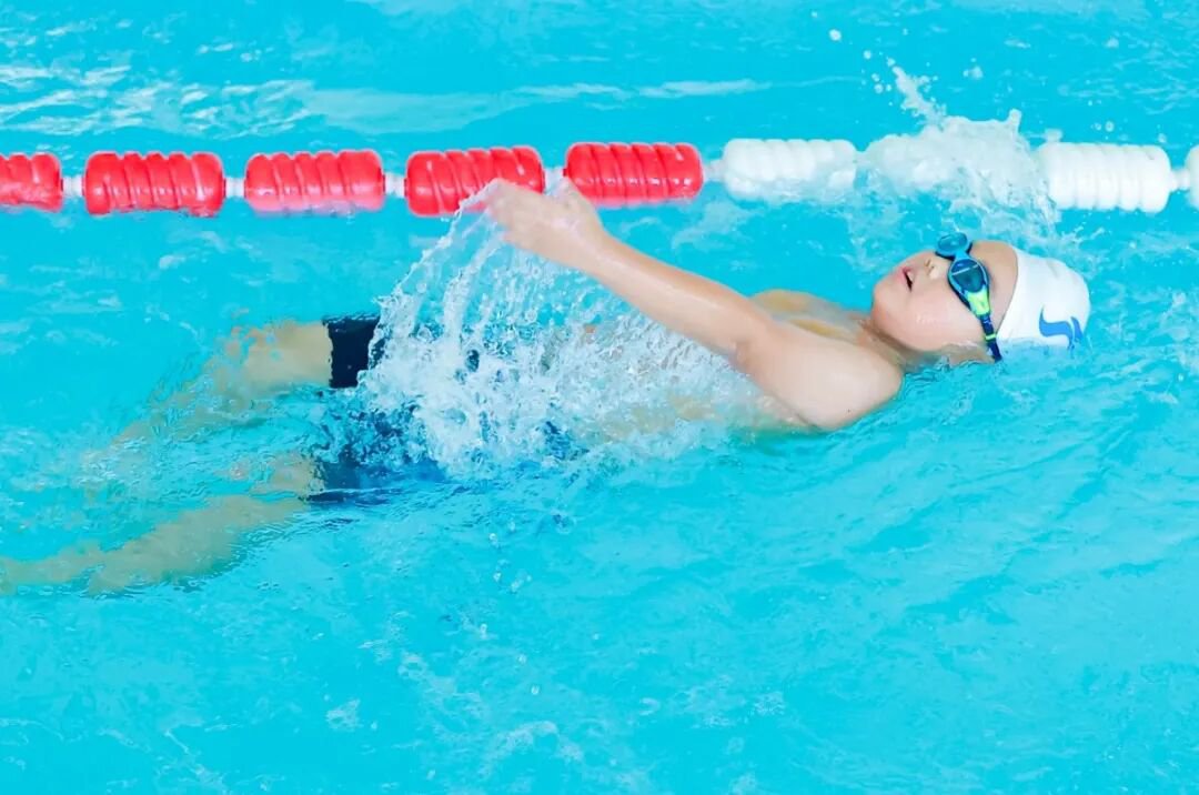 首页-人生就是博