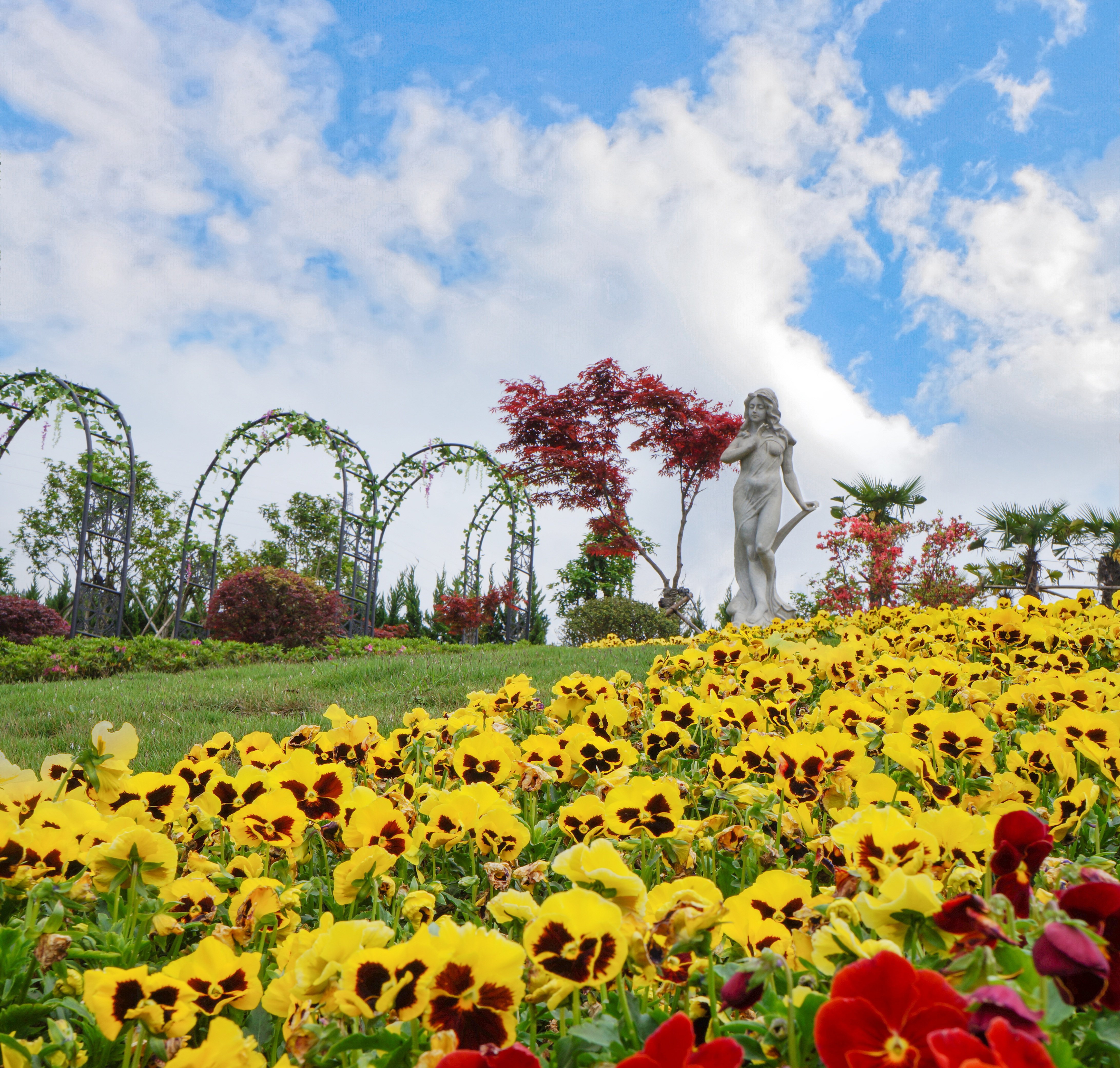 首页-人生就是博