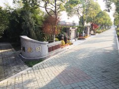 都会最后一平米：生态葬，，，，是与自然的息争？？？？？照旧无奈的选择？？？？？