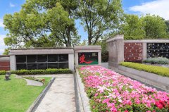 归于自然，，，，泽被后世：解读现代生态葬及其立异趋势