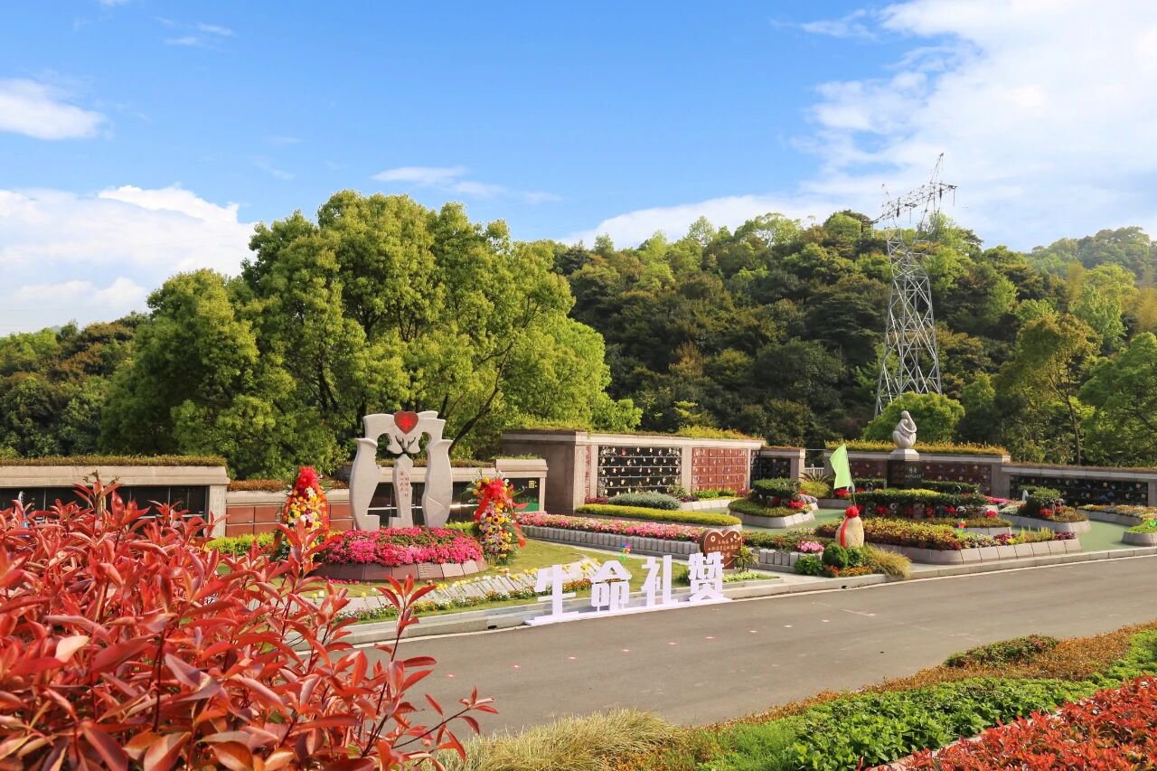 首页-人生就是博