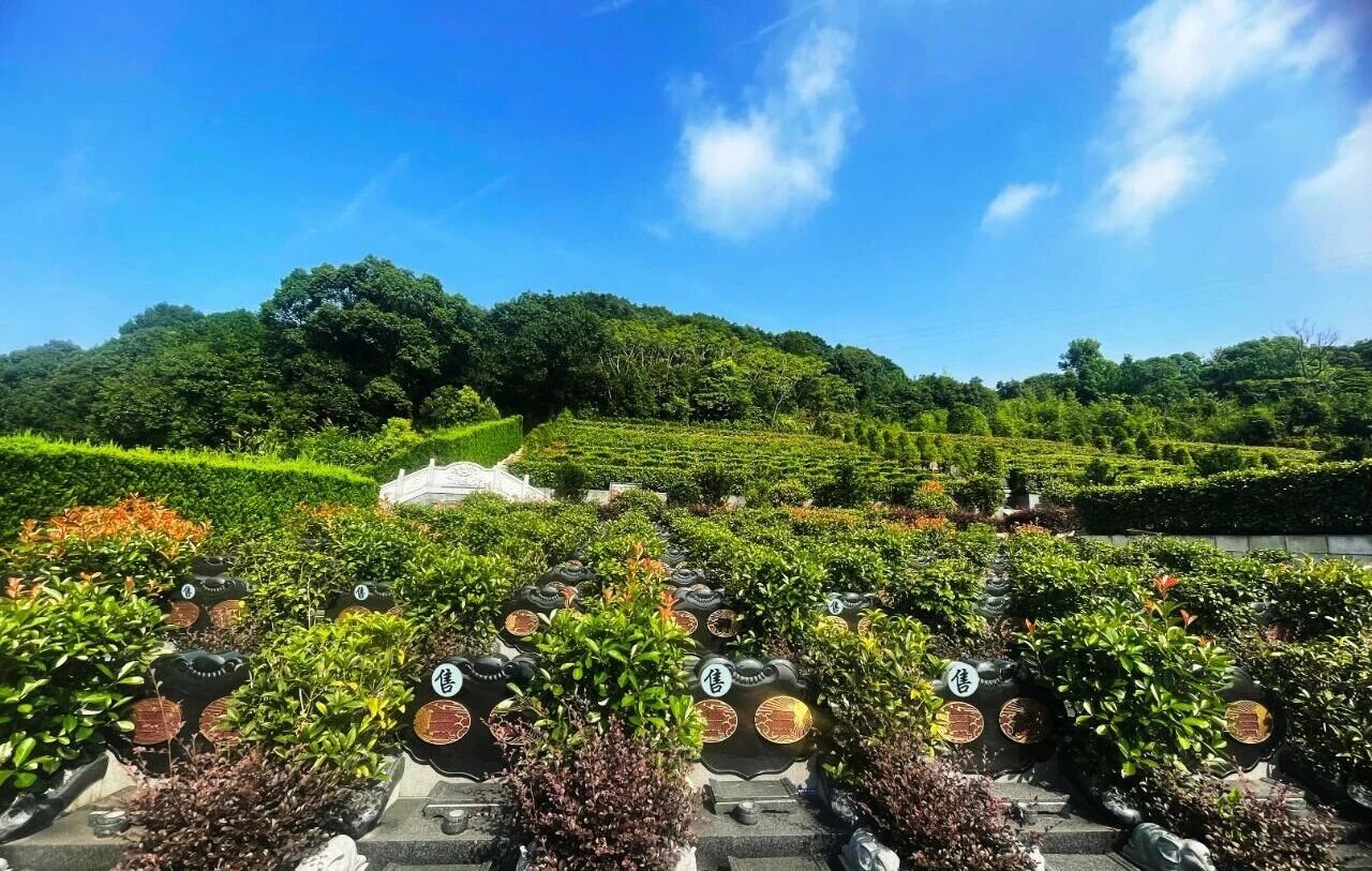 首页-人生就是博