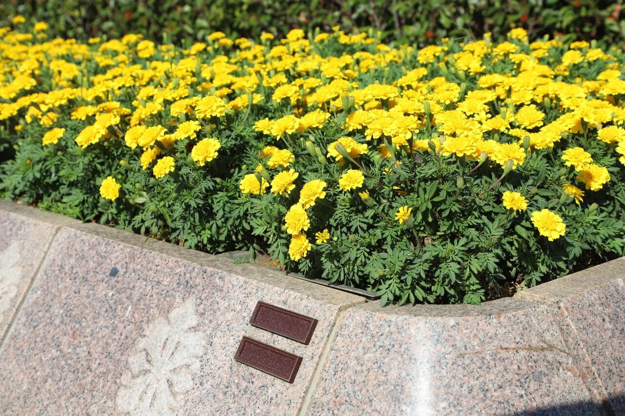 首页-人生就是博