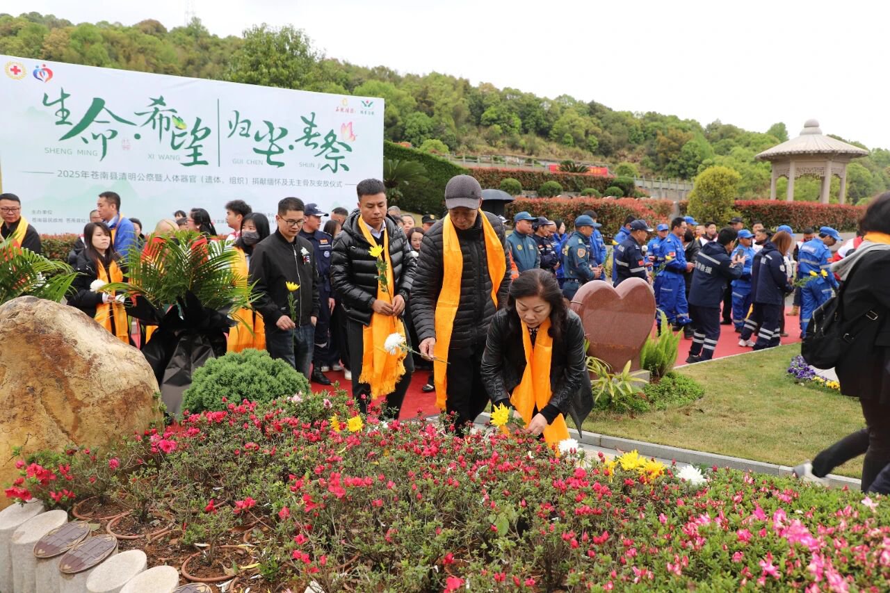 首页-人生就是博