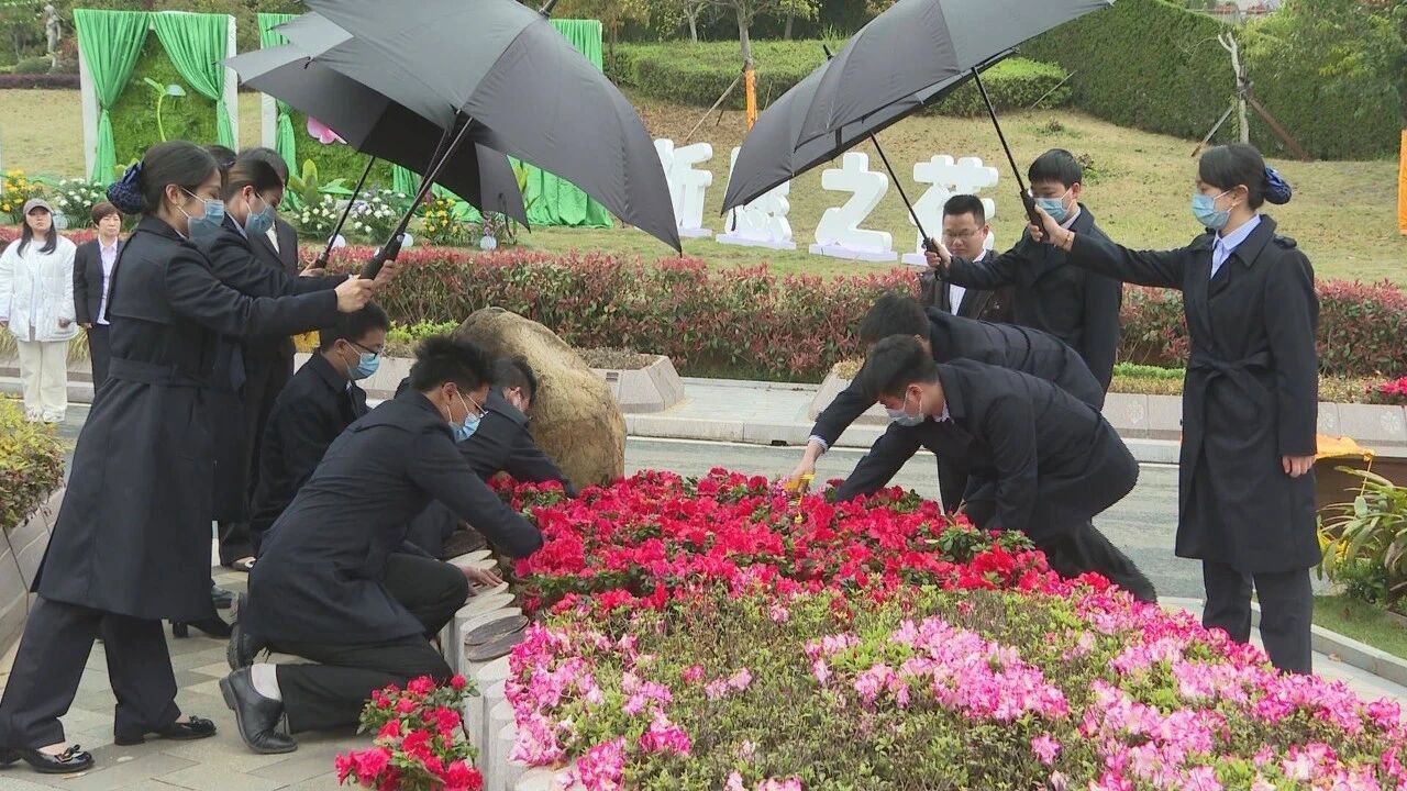 首页-人生就是博