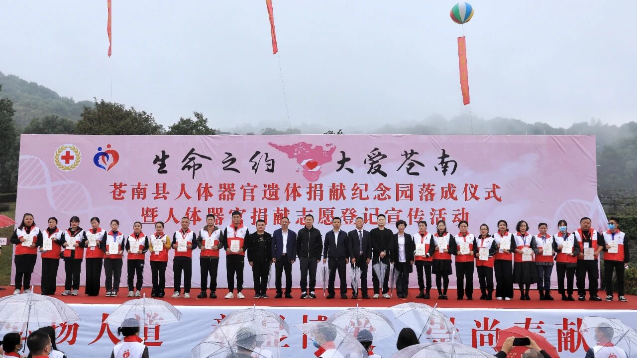 首页-人生就是博