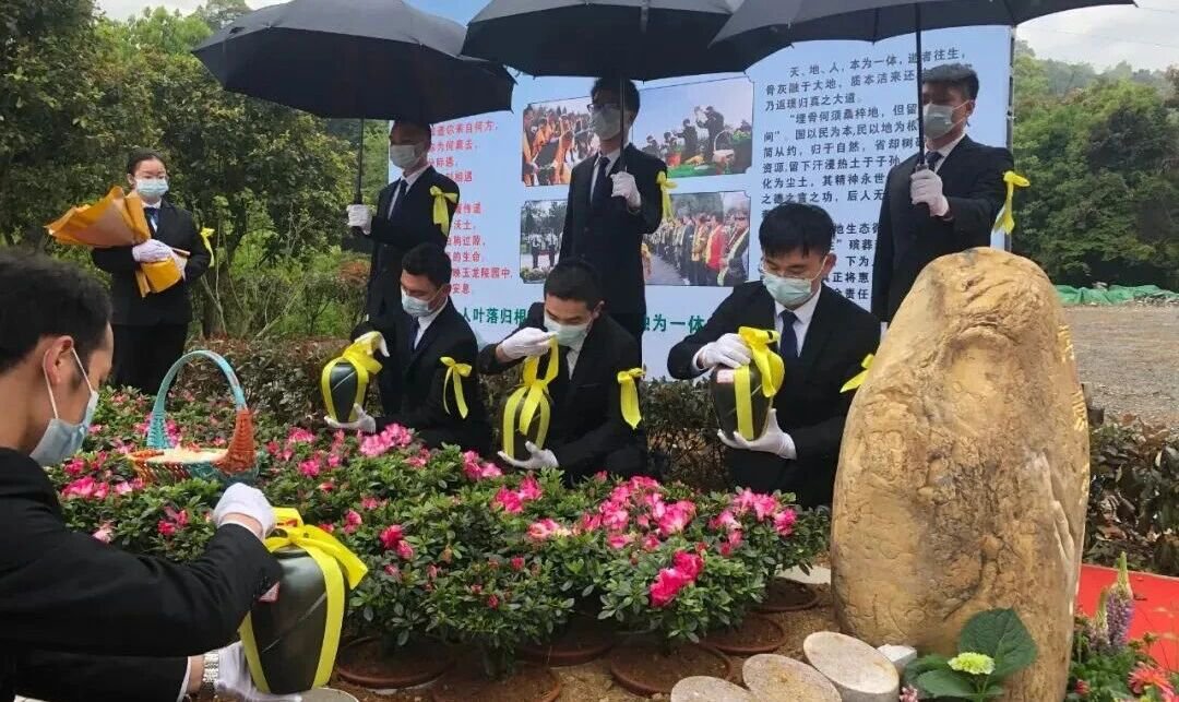 首页-人生就是博