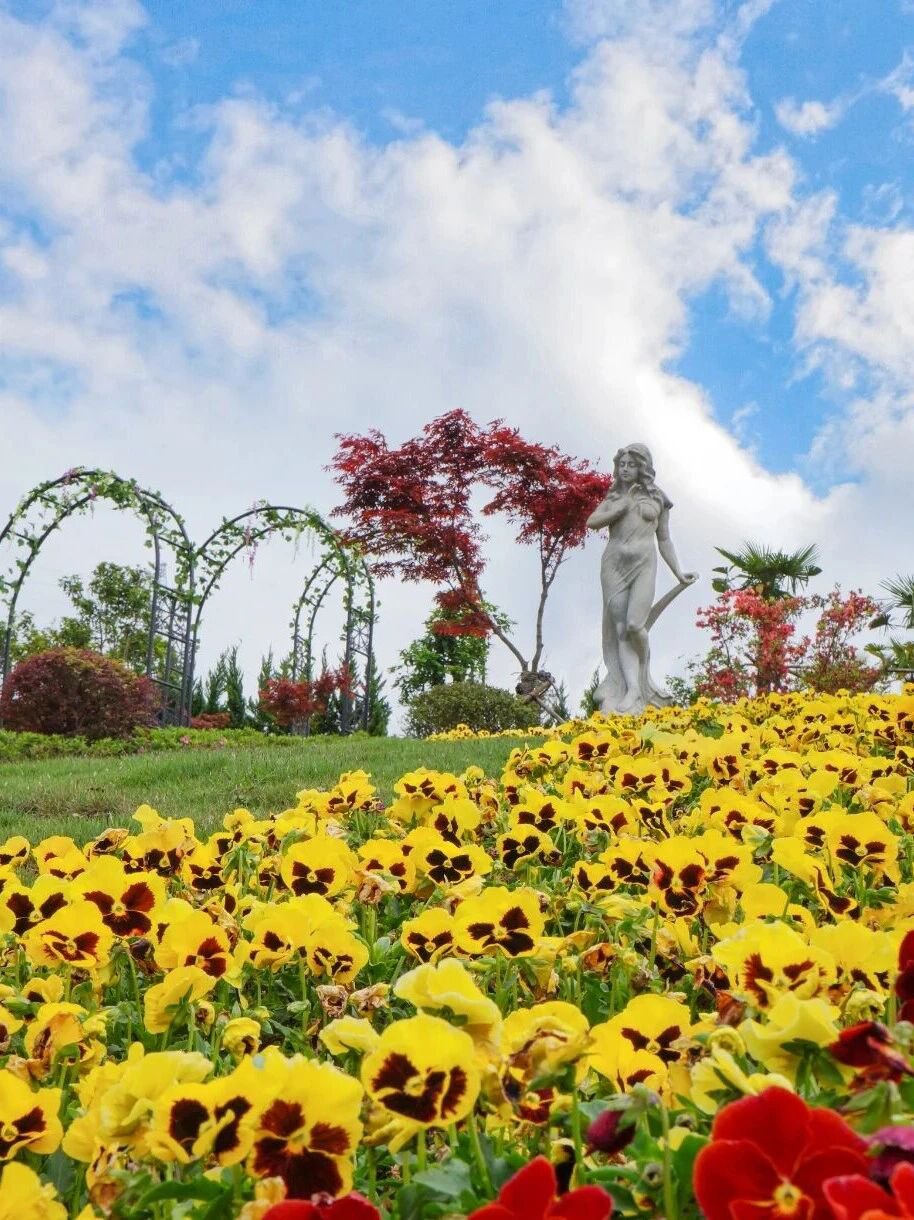 首页-人生就是博