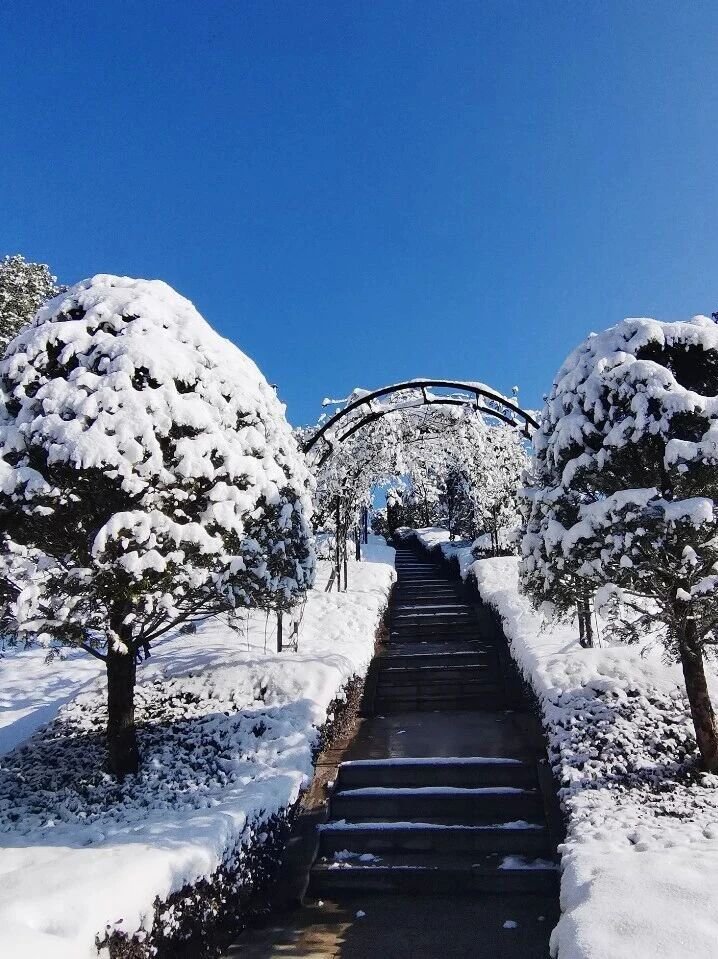 首页-人生就是博