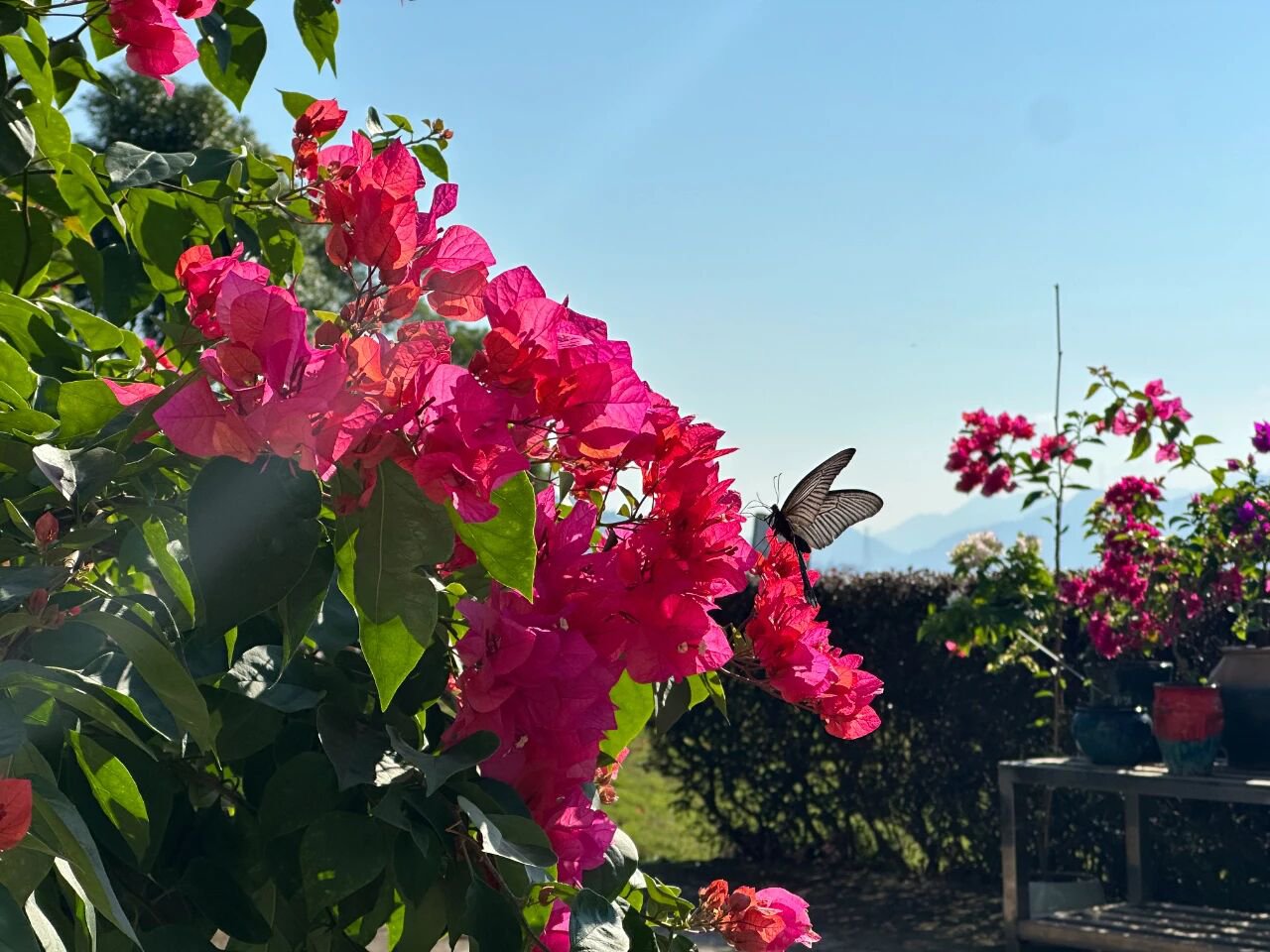 首页-人生就是博