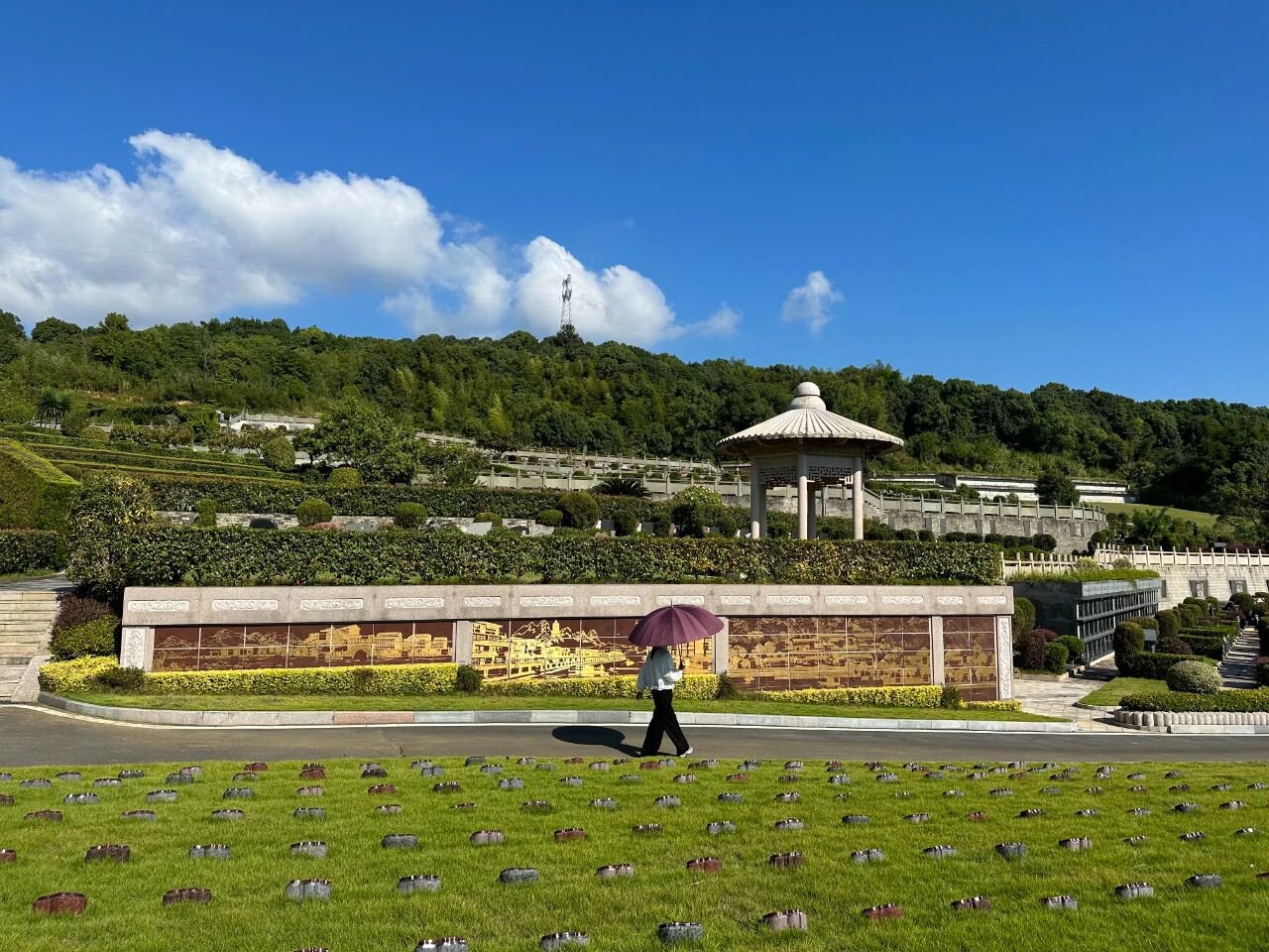 首页-人生就是博