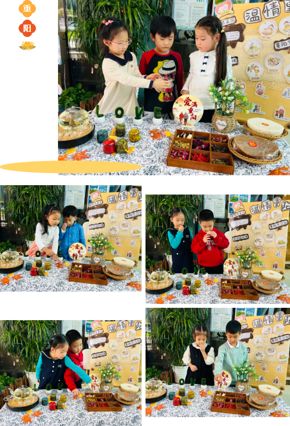 首页-人生就是博