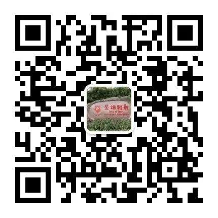 首页-人生就是博