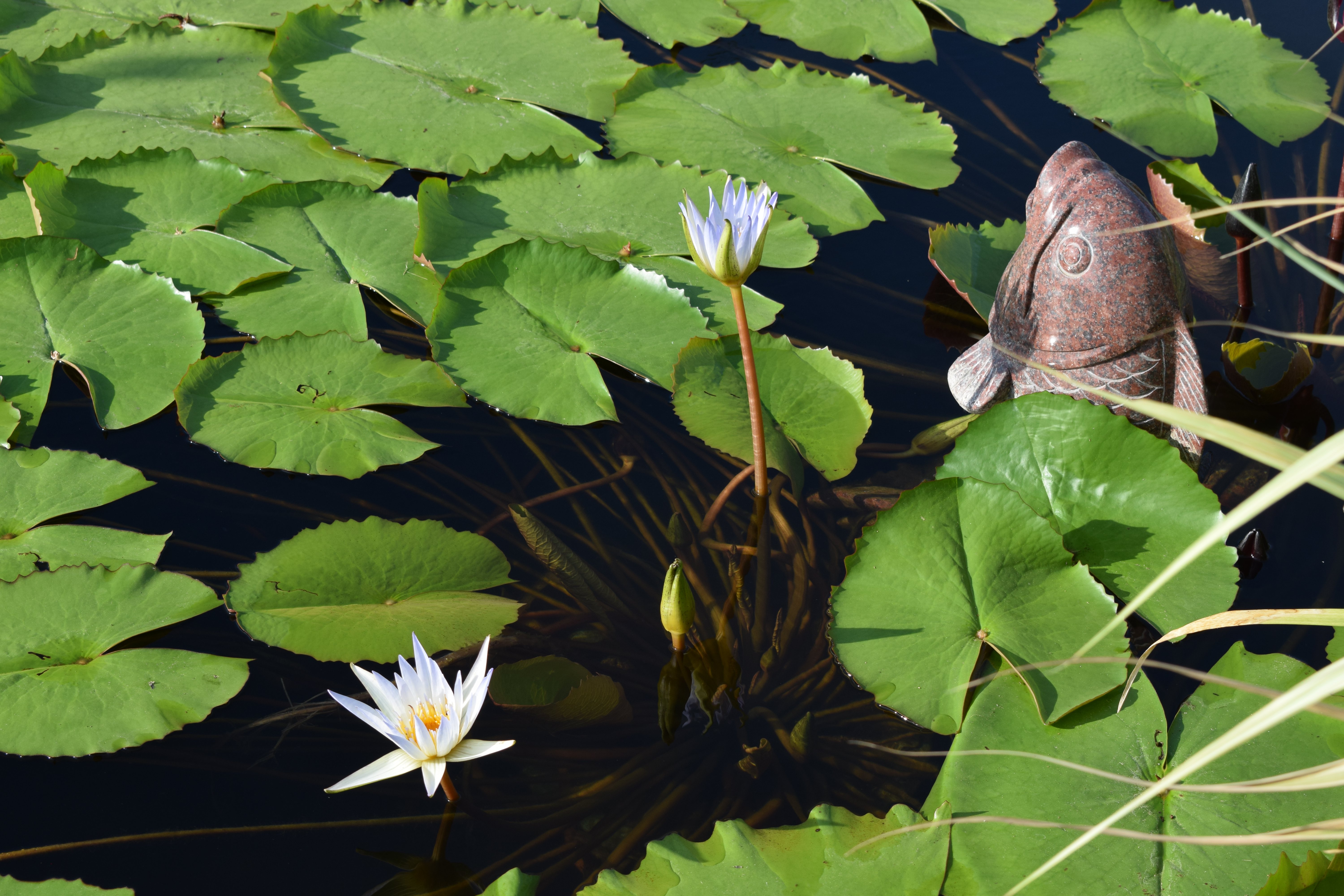 首页-人生就是博