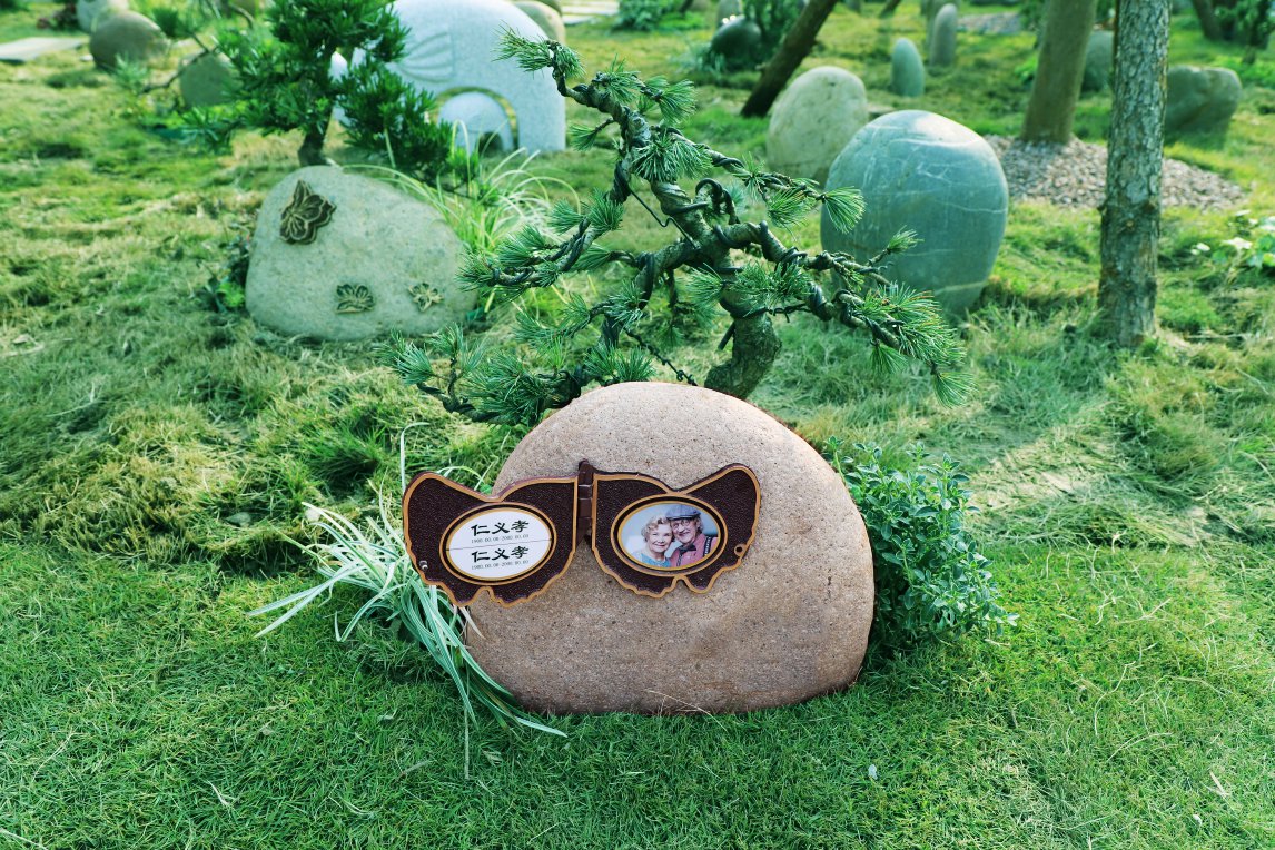 首页-人生就是博