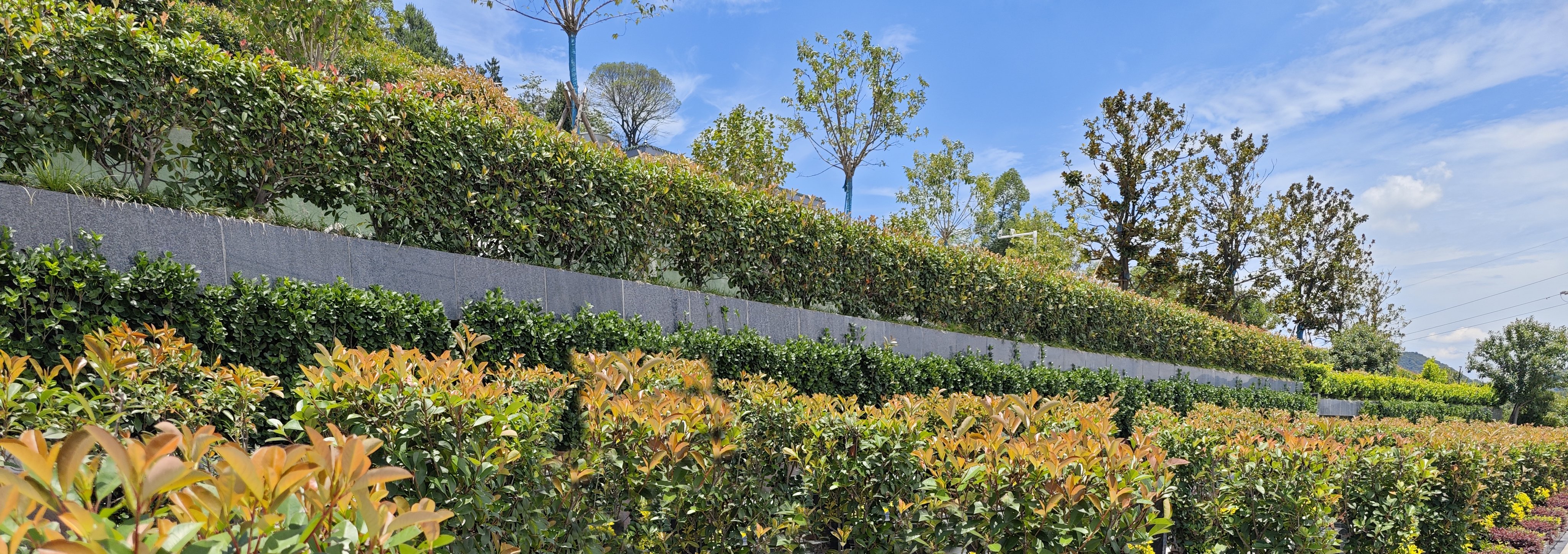 首页-人生就是博