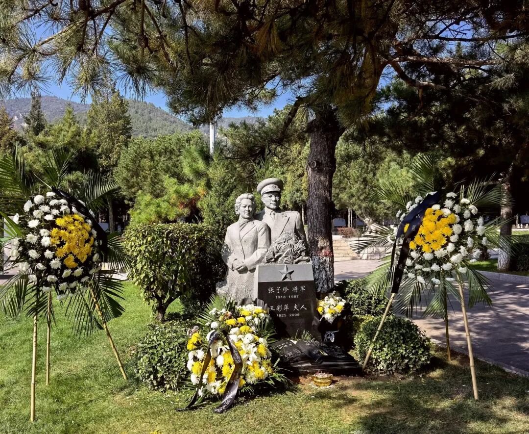 首页-人生就是博