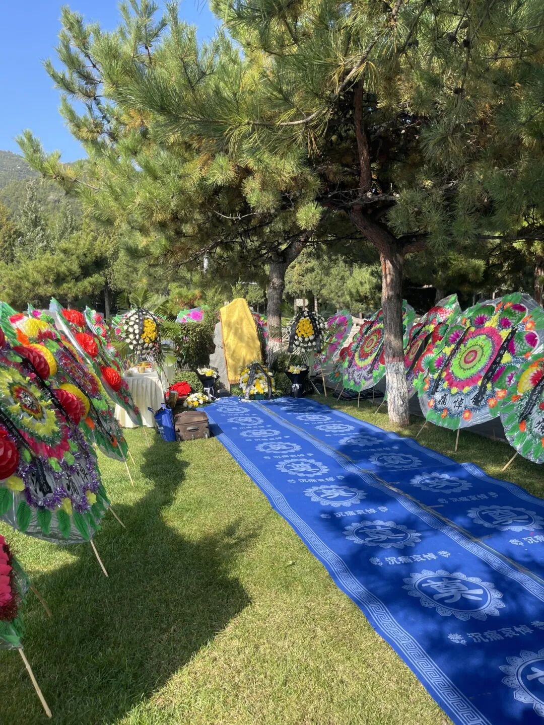 首页-人生就是博