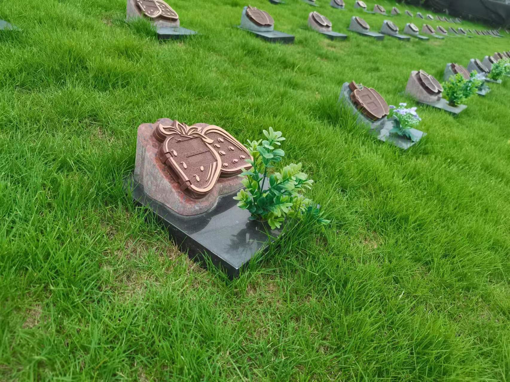 首页-人生就是博