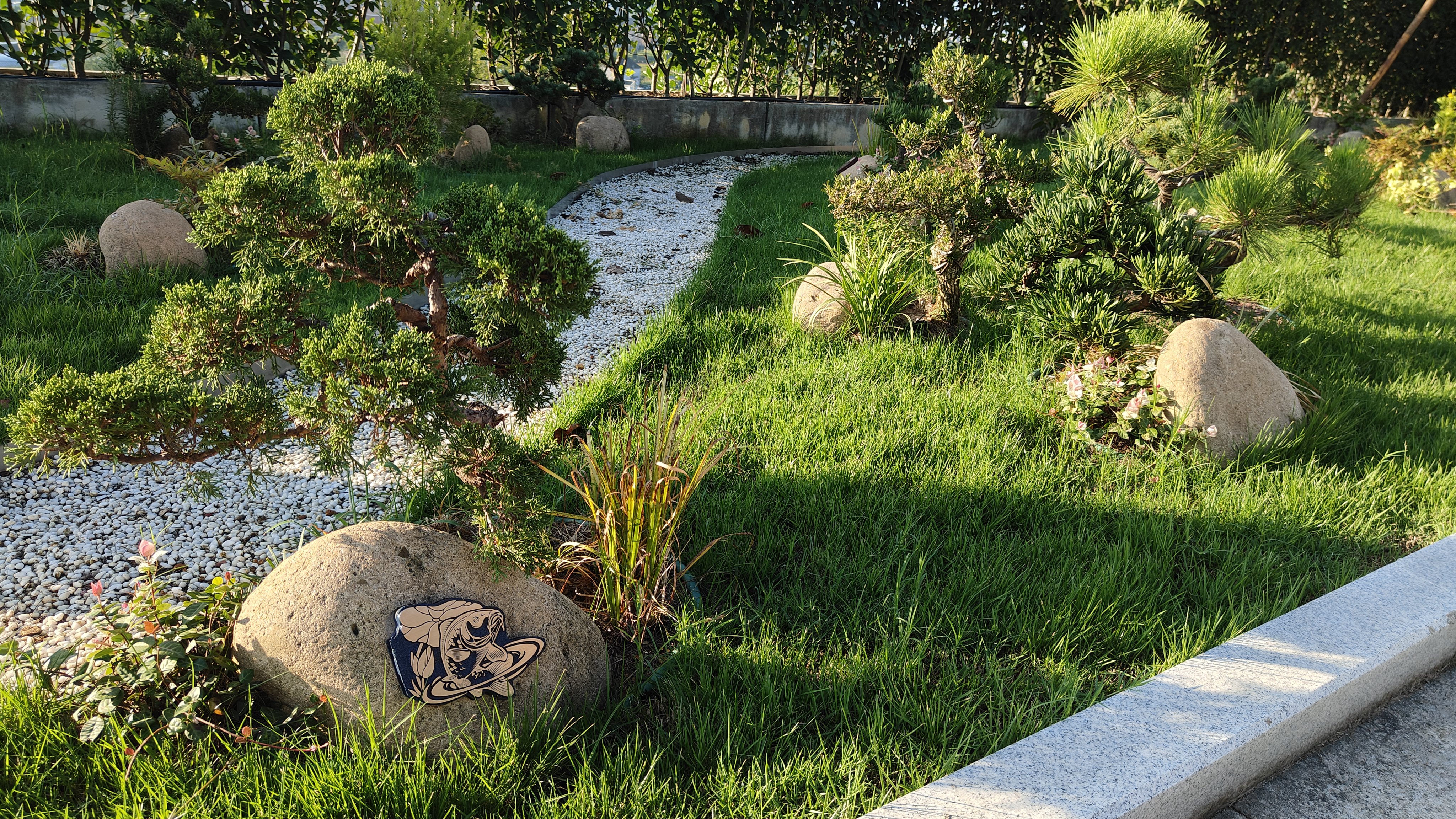 首页-人生就是博