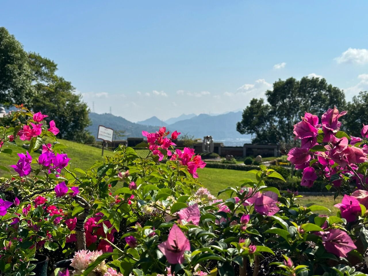 首页-人生就是博