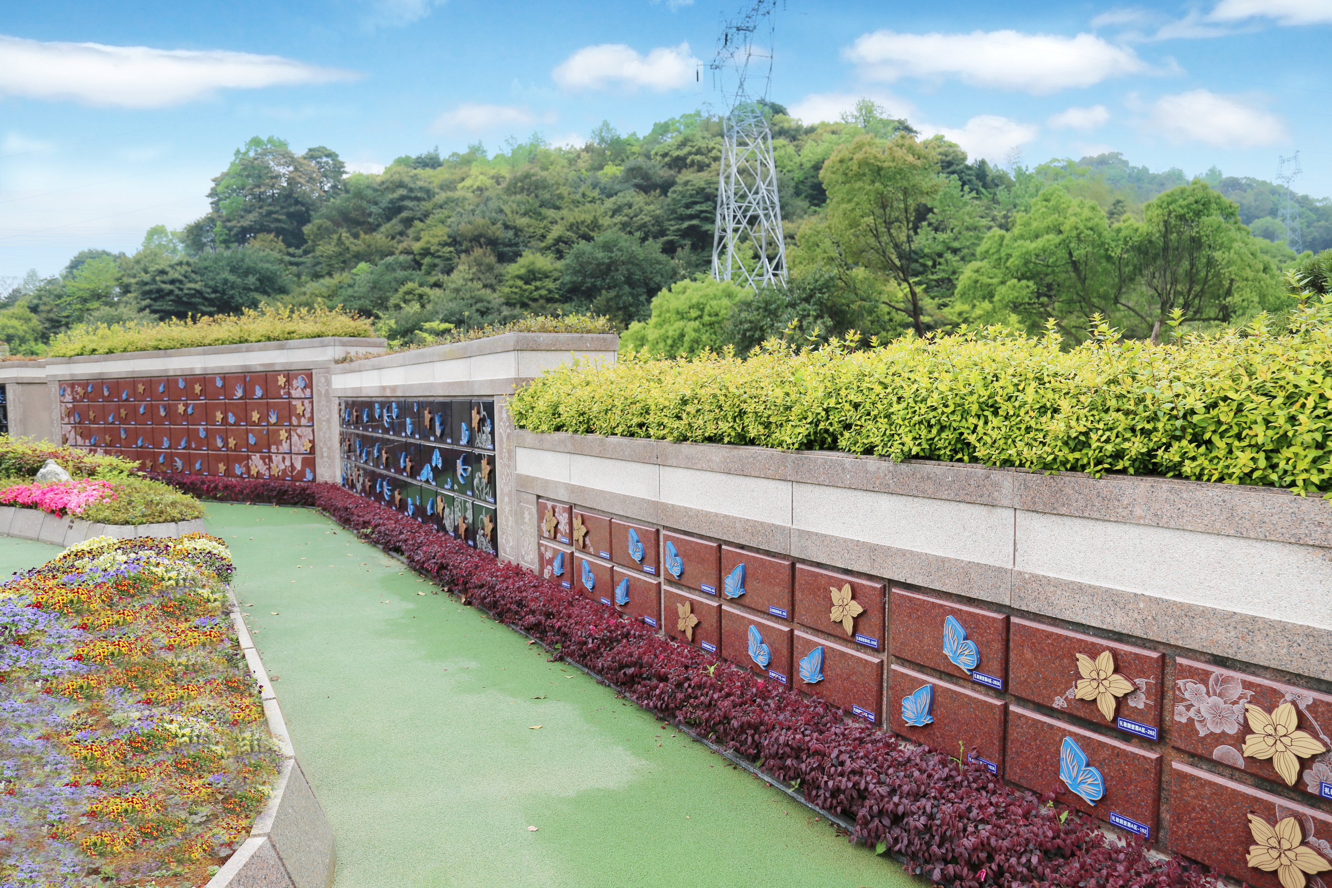 首页-人生就是博