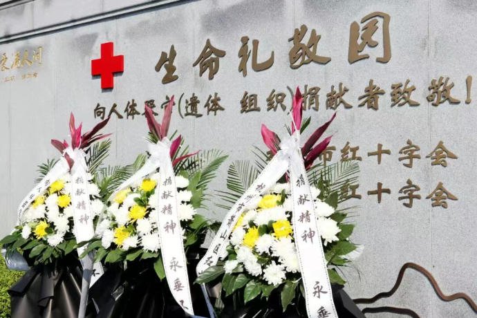 1-26041309432S59 首页-人生就是博