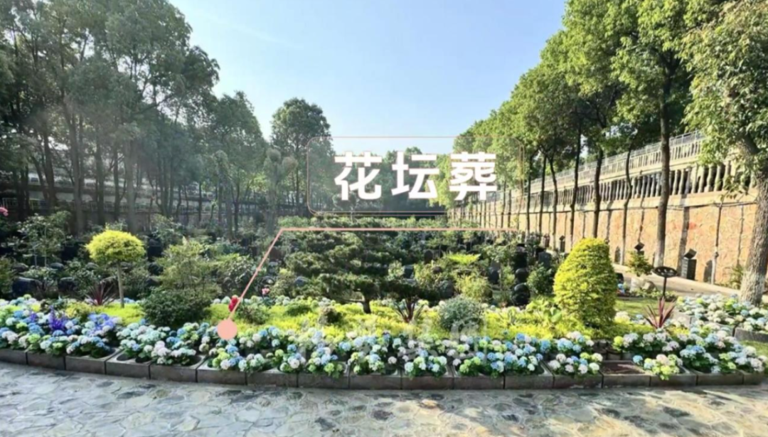 1-260521150550W0 首页-人生就是博